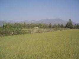  Residential Plot for Sale in Omicron 1, Greater Noida