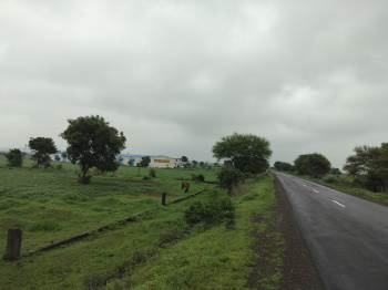  Agricultural Land for Sale in Dewas Bypass Road