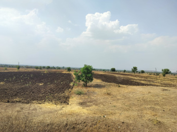  Agricultural Land for Sale in Dewas Bypass Road