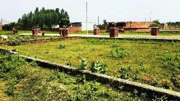  Residential Plot for Sale in Gomti Nagar, Lucknow