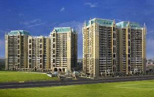  Flat for Sale in DLF Phase V, Gurgaon