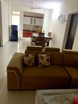 2 BHK Flat for Rent in Sector 88 Faridabad