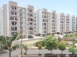 3 BHK Flat for Sale in City Center, Gwalior
