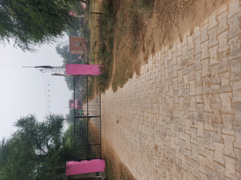  Residential Plot for Sale in Dholera, Ahmedabad