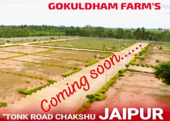  Agricultural Land for Sale in Chaksu, Jaipur