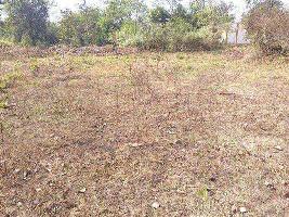  Commercial Land for Sale in Dhuri, Sangrur