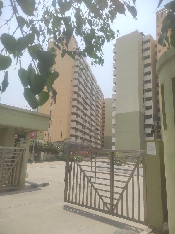 1 BHK Apartment 56 Sq. Meter for Rent in Loknayak Puram, Delhi