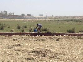  Residential Plot for Sale in Sector 36 Rohtak