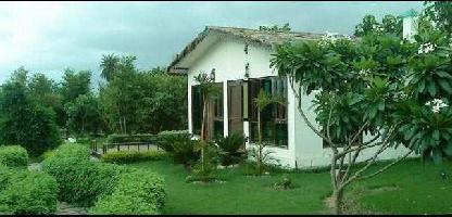 4 BHK House for Sale in Noida-Greater Noida Expressway