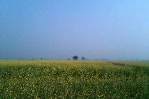  Agricultural Land for Sale in Alwar Mega Highways