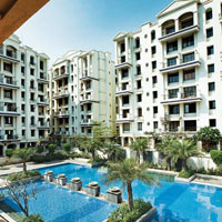 1 BHK Flat for Sale in Baner, Pune