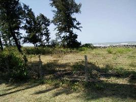  Agricultural Land for Sale in Alibag, Raigad