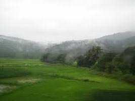  Agricultural Land for Sale in Alibag, Raigad