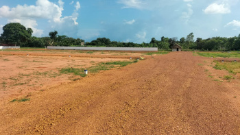  Residential Plot for Sale in Nanjikottai, Thanjavur