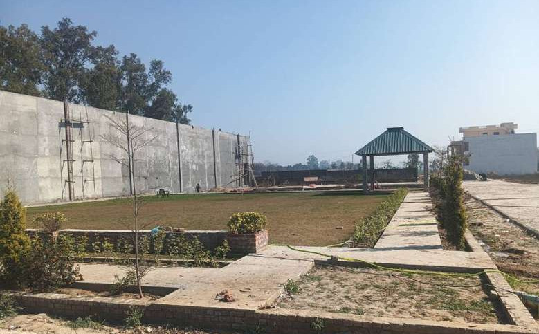  Residential Plot 900 Sq.ft. for Sale in Rama Mandi, Jalandhar