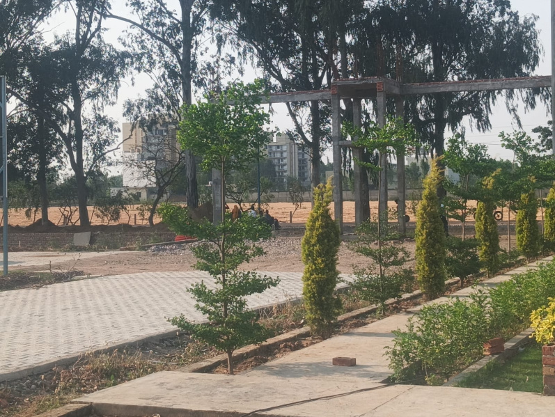  Residential Plot 900 Sq.ft. for Sale in Rama Mandi, Jalandhar