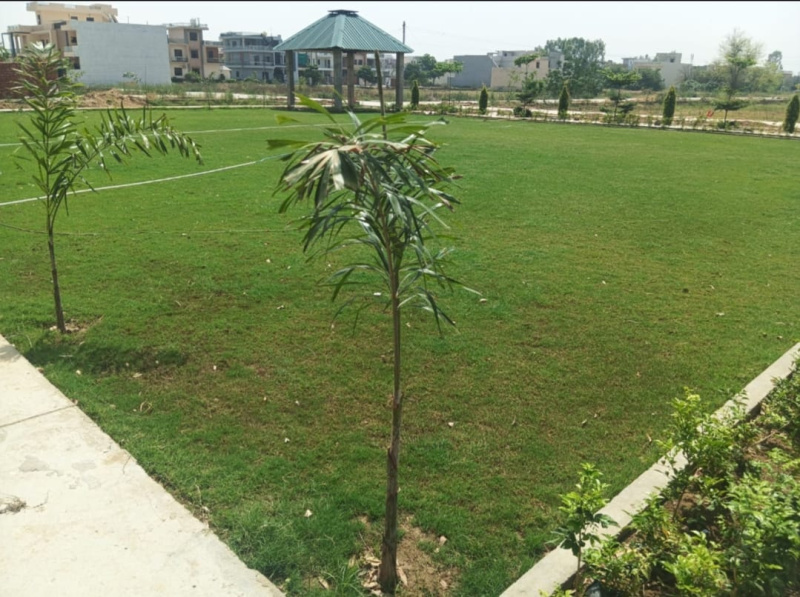  Residential Plot 900 Sq.ft. for Sale in Verka Milk Plant, Jalandhar