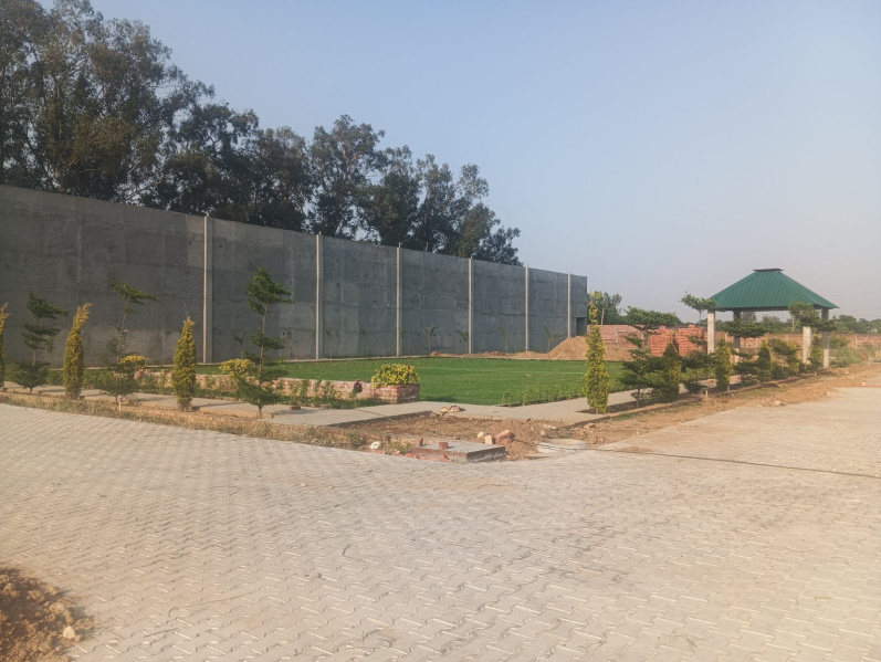  Residential Plot 900 Sq.ft. for Sale in Rama Mandi, Jalandhar