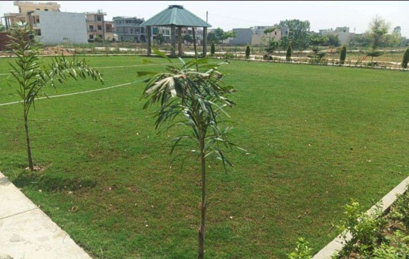  1172 Sq.ft. Residential Plot for Sale in Nangal Shama, Jalandhar