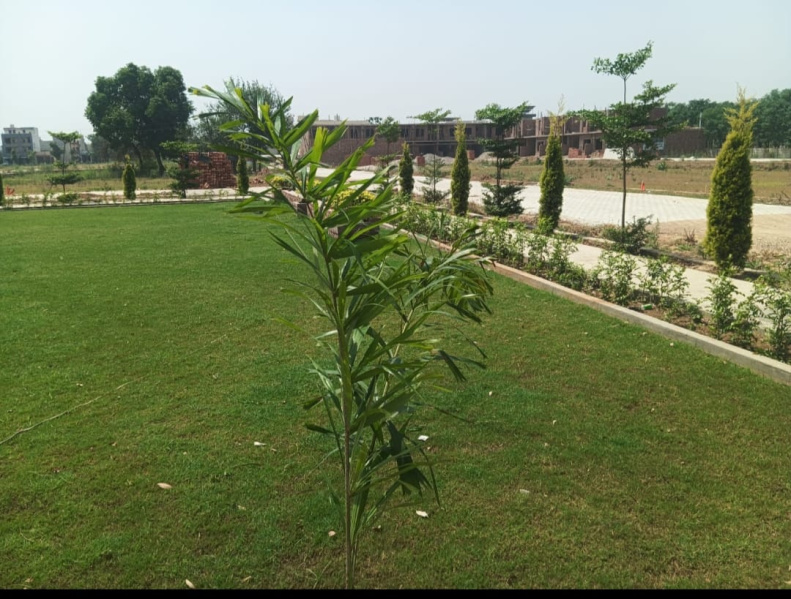  1172 Sq.ft. Residential Plot for Sale in Nangal Shama, Jalandhar