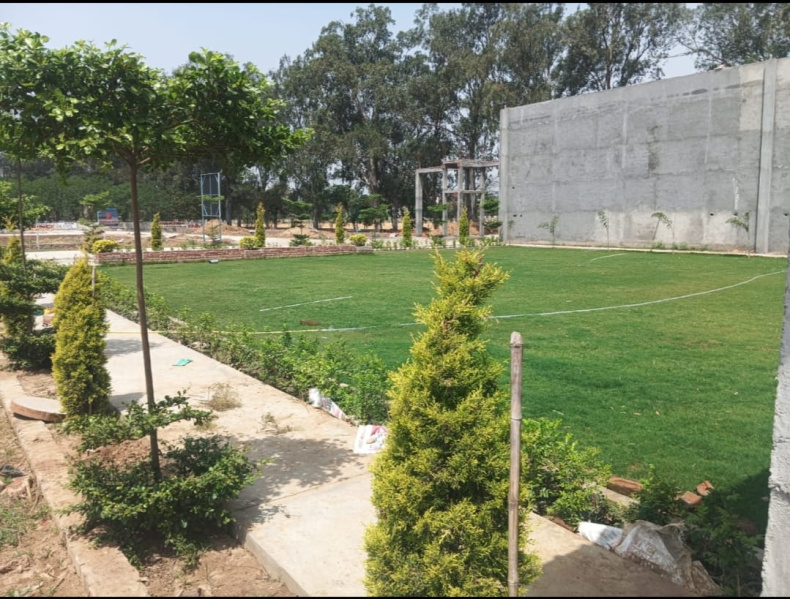  1172 Sq.ft. Residential Plot for Sale in Rama Mandi, Jalandhar