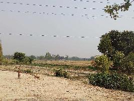  Commercial Land for Sale in Kanpur Road, Lucknow