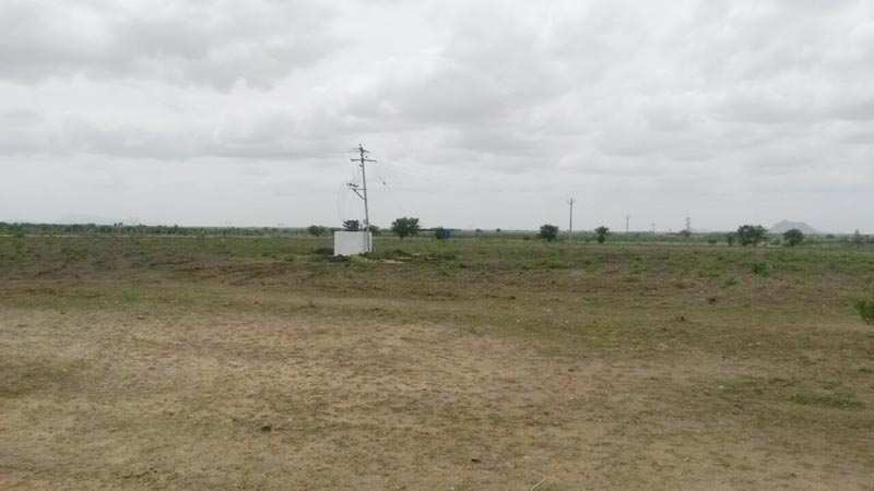 Agricultural Land 100 Ares for Sale in Kaimganj, Farrukhabad