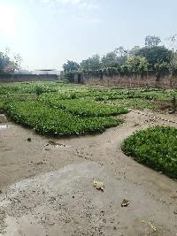  Agricultural Land for Sale in Kapashera, Delhi