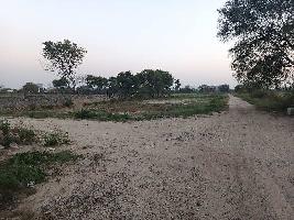  Agricultural Land for Sale in Badusarai, Delhi