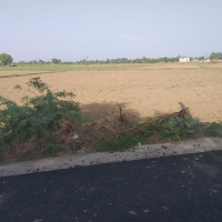  Agricultural Land for Sale in Nishant Park, Dwarka, Delhi