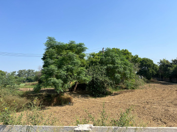  Agricultural Land for Sale in Bijwasan, Delhi
