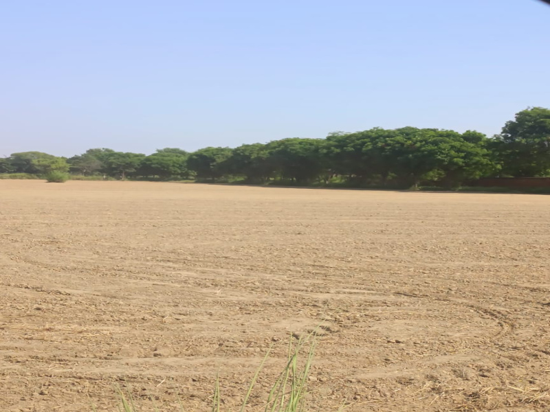  Agricultural Land 5 Acre for Sale in Kapashera, Delhi