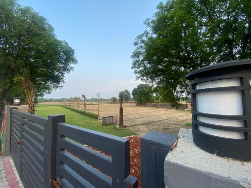 1 RK Farm House 1200 Sq.ft. for Sale in Chhawla, Delhi