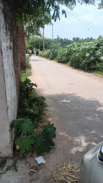 1 RK Farm House 500 Sq.ft. for Sale in Rajokri, Delhi