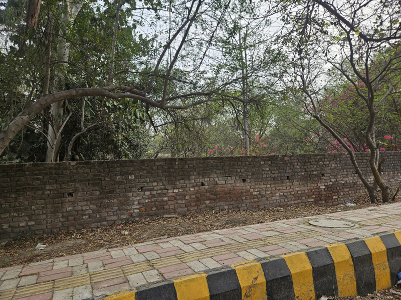 1 RK 500 Sq.ft. Farm House for Sale in Bijwasan, Delhi