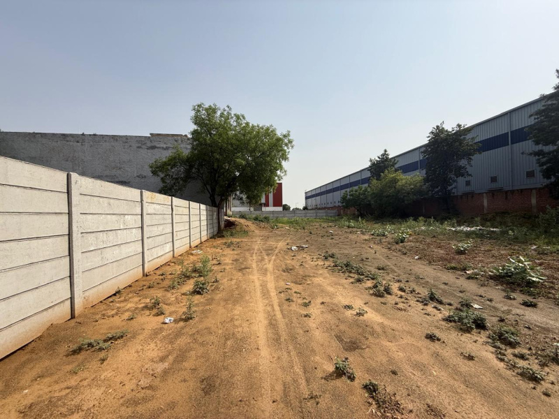  2287 Sq. Yards Agricultural/Farm Land for Sale in Bilaspur, Gurgaon