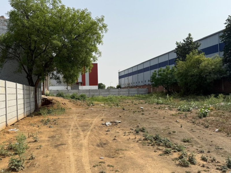  2287 Sq. Yards Agricultural/Farm Land for Sale in Bilaspur, Gurgaon