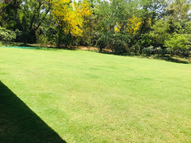  1 Acre Agricultural/Farm Land for Sale in Bijwasan, Delhi