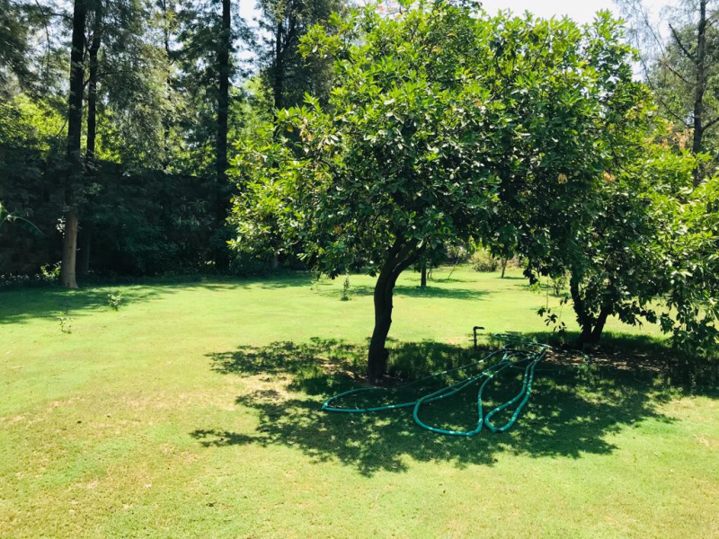  1 Acre Agricultural/Farm Land for Sale in Bijwasan, Delhi