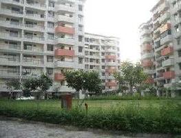 3 BHK Flat for Rent in Sector Phi Greater Noida