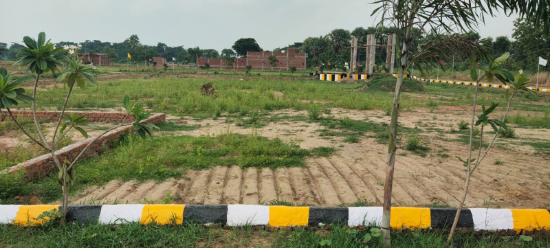  100 Sq. Yards Residential Plot for Sale in Dankaur, Gautam Buddha Nagar