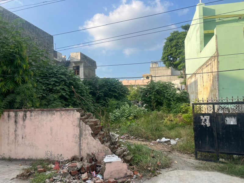  Residential Plot 311 Sq. Yards for Sale in Model Town, Yamunanagar