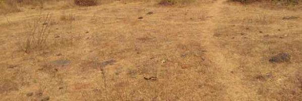  Commercial Land for Sale in Kuzhalmannam, Palakkad