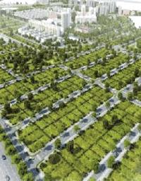  Residential Plot for Sale in Sector 82 Gurgaon