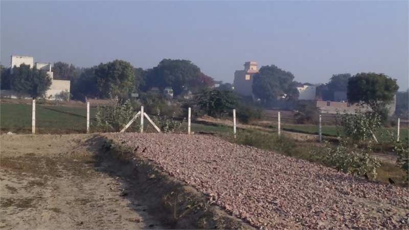 Residential Plot 130 Sq. Yards for Sale in Sunaria Chowk, Rohtak