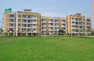 2 BHK Flat for Rent in Ambala City