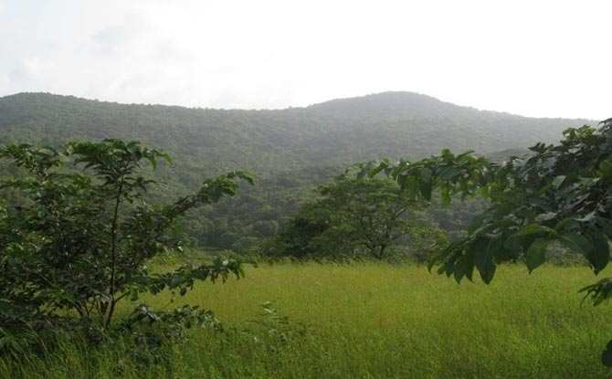 Agricultural Land 10000 Sq.ft. for Sale in M. G Road, Pune