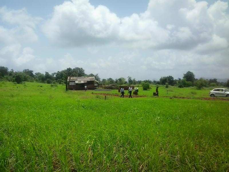 Agricultural Land 40000 Sq.ft. for Sale in Alibag, Raigad