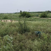  Residential Plot for Sale in Yamuna Expressway, Greater Noida