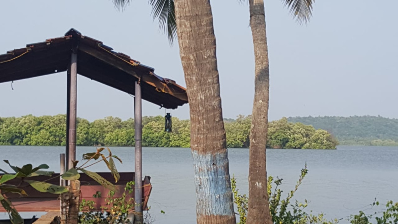  Commercial Land 10 Acre for Sale in Kannapuram, Kannur